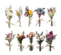 Lot de 10 Mini Bouquets de Fleurs Séchées Naturelles, Mini Fleurs Séchées, Bouquet de Fleurs Sechees, Mélange de Fleurs Séchées Naturelles pour Loisirs Créatifs Décoration D'intérieur (B)