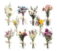 Lot de 10 Mini Bouquets de Fleurs Séchées Naturelles, Mini Fleurs Séchées, Bouquet de Fleurs Sechees, Mélange de Fleurs Séchées Naturelles pour Loisirs Créatifs Décoration D'intérieur
