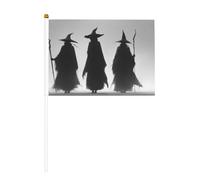 Lot de 10 mini drapeaux de sorcières sur bâton pour fête, activités d'équipe, défilés, décoration de vacances