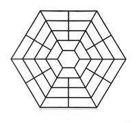 Lot de 10 ou 20 filets de pêche hexagonaux pour la capture d'étang avec construction en plastique
