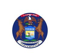 Lot de 10 ou 24 cartes parfumées rondes à suspendre au drapeau de l'État du Michigan, parfum lavande pour décoration de voiture et d'intérieur