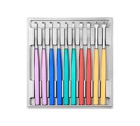 Lot de 10 outils de levage précis en alliage avec boîte de rangement transparente pour un entretien efficace des leviers manuels