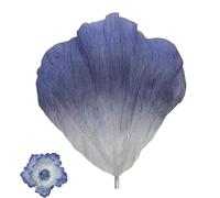 Lot de 10 pétales de Pivoine géants artificiels en Papier crépon, Semi-Finis, for décoration de Mariage, fête d'anniversaire, décoration de fenêtre(Blue,35.7cm)