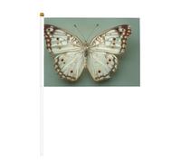 Lot de 10 petits drapeaux à main en forme de papillon blanc à pois bruns, mini drapeaux sur bâton pour fête, activités d'équipe, défilés, décoration de vacances