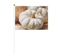 Lot de 10 petits drapeaux vintage citrouilles blanches, mini drapeaux sur bâton pour fête, activités d'équipe, défilés, décoration de vacances