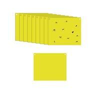 Lot de 10 pièges à mouches adhésifs jaunes - 20 x 10 cm - Papier adhésif double face pour insectes contre les moucherons, les aleurodes, les pucerons, les mineuses de feuilles