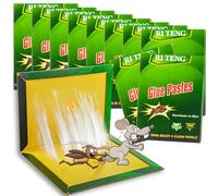 Lot de 10 pièges adhésifs pour la maison, les cafards, les cafards, les cafards, les insectes, pièges à vermines, très collants, pour le jardin et le débarras, la cuisine, la maison (31,5 x 21 cm)