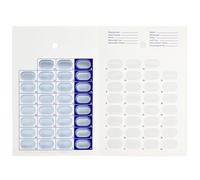 Lot de 10 pilules scellées à froid de 31 jours - Organiseur mensuel jetable de médicaments pour soignants, camps d'été, pharmaciens et gestion quotidienne des pilules