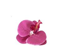 Lot de 10 pinces à cheveux en tissu doux, motif fleur, papillon, orchidée, perle, style bec canard, for fille, bord mer pour Femmes(Deep Pink)