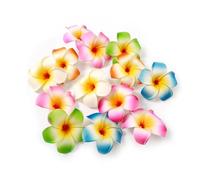 Lot de 10 pinces à cheveux multicolores en forme de fleur de prunier hawaïen, barrettes à cheveux artificielles tropicales pour fêtes de plage, mariages et événements d'été, accessoires décoratifs (7