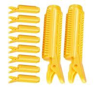 Lot de 10 pinces à cheveux pour donner du volume à la racine des cheveux - Rouleau de coiffage de levage instantané | Clip de volume pour la coiffure quotidienne des femmes