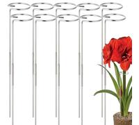 Lot de 10 piquets de 76,2 ou 40,6 cm pour fleurs - En acier inoxydable - Pour cage de jardin - Anneaux de soutien pour Amaryllis, tomates, pivoine, lys rose, narcisse (10, 1,6 kg)