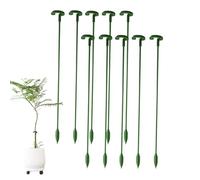 Lot de 10 piquets de fleurs pour plantes d'intérieur - Support de fleurs pour fleurs de jardin - Support de fleurs pour extérieur jardin de légumes Orchid Rose Tomate