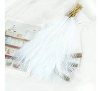 Lot de 10 plantes artificielles de la pampa séchées - Bouquet de roseaux moelleux - Arrangements de fleurs séchées pour mariage, vacances, fête, décoration d'intérieur (blanc)