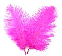 Lot de 10 plumes colorées pour le bricolage - Plumes d'autruche - Attrape-rêves - Attrape-rêves - Design artistique - Carnaval - Pâques - 20-25 cm - Rose