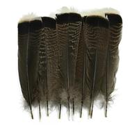 Lot de 10 plumes d'aigle naturelles décoratives, 25-30 cm, plumes de dinde pour loisirs créatifs, accessoires de carnaval, décoration de mariage, naturelles