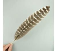 Lot de 10 plumes d'aigle naturelles pour loisirs créatifs, accessoires de coiffure, décoration de fête, plumes de carnaval, bricolage, artisanat, 25-30 cm, 10-12 pouces, b-10 pièces
