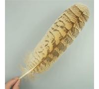 Lot de 10 plumes d'aigle naturelles pour loisirs créatifs, accessoires de coiffure, décoration de vacances, plumes de carnaval, bricolage, artisanat, 25-30 cm, 10-12 pouces, c-10 pièces