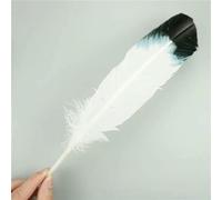 Lot de 10 plumes d'aigle naturelles pour loisirs créatifs, accessoires de coiffure, décoration de vacances, plumes de carnaval, bricolage, artisanat, 25-30 cm, 10-12 pouces