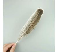 Lot de 10 plumes d'aigle naturelles pour loisirs créatifs, accessoires de coiffure, décoration de vacances, plumes de carnaval, bricolage, artisanat, 20-25 cm, 8-10 pouces, 10 pièces