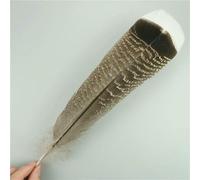 Lot de 10 plumes d'aigle naturelles pour loisirs créatifs, accessoires de coiffure, décoration de vacances, plumes de carnaval, bricolage, artisanat, 25-30 cm, 10-12 pouces