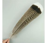 Lot de 10 plumes d'aigle naturelles pour travaux manuels, coiffure, accessoires, décoration de vacances, carnaval, bricolage, artisanat, 25-30 cm, 10-12 pouces