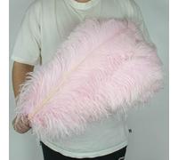Lot de 10 plumes d'autruche blanches, 25-60 cm, pour décoration de mariage, centre de table, rose clair, 25-30 cm