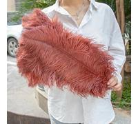 Lot de 10 plumes d'autruche blanches de 15 à 50 cm, plumes d'autruche naturelles pour travaux manuels, fête de mariage, décoration de la maison, centre de table, décoration - Rouge marro