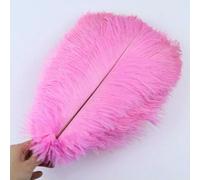 Lot de 10 plumes d'autruche blanches naturelles, 15-35 cm, colorées, pour décoration de fête, mariage, maison, centre de table, artisanat, rose foncé, 20-25 cm