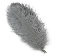 Lot de 10 plumes d'autruche blanches naturelles pour travaux manuels, mariage, maison, carnaval, décoration de table, centres de table, 15-20 cm, 20-25 cm, 30-35 cm, plume 19 gris, 35-40 cm, 16
