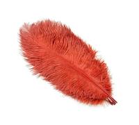 Lot de 10 plumes d'autruche blanches naturelles pour travaux manuels, mariage, maison, carnaval, décoration de table, centres de table, 15-20 cm, 20-25 cm, 30-35 cm, plume 26 rouge-brun, 55-60