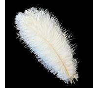 Lot de 10 plumes d'autruche blanches naturelles pour travaux manuels, mariage, maison, carnaval, décoration de table, centres de table, 15-20 cm, 20-25 cm, 30-35 cm, plume 16, blanc, 30-35 cm,