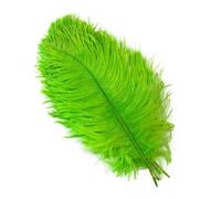 Lot de 10 plumes d'autruche bleues de 15 à 55 cm, plumes naturelles pour décoration de mariage, carnaval, artisanat, centre de table, accessoires - vert - 15 à 20 cm