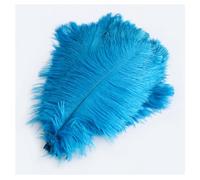 Lot de 10 plumes d'autruche colorées 15-20 cm Plume naturelle pour bricolage Décoration DIY Plumes d'autruche pour maison, mariage, fête, table, table à manger, carnaval, attrape-rêves, décoration