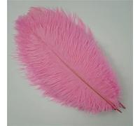 Lot de 10 plumes d'autruche colorées, accessoires artisanaux, attrape-rêves, décoration, bijoux, plumes naturelles, centres de table, rose, 30-35 cm