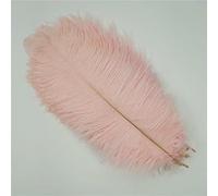 Lot de 10 plumes d'autruche colorées, accessoires artisanaux, attrape-rêves, décoration, création de bijoux, centre de table, plumes naturelles, rose clair, 25-30 cm