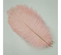 Lot de 10 plumes d'autruche colorées de 30 à 50 cm, pour travaux manuels, décoration de vases, centres de table, accessoires de carnaval, rose clair, 45 à 50 cm