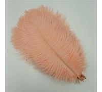 Lot de 10 plumes d'autruche colorées de 30 à 50 cm, pour travaux manuels, décoration de vases, centres de table, accessoires de carnaval, rose coquillage, 40 à 45 cm