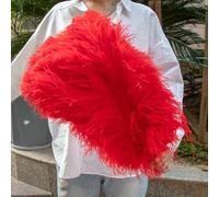 Lot de 10 plumes d'autruche colorées de 45 à 50 cm pour décoration de fête de mariage, plumes d'autruche, décoration de table, rouge, 25 à 30 cm, 12 à 14 pouces