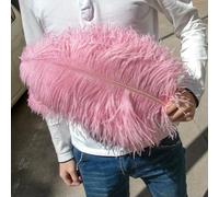 Lot de 10 plumes d'autruche colorées pour bijoux, bricolage, fête de mariage, centres de table créatifs, artisanat, rouge rose, 25-30 cm