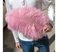 Lot de 10 plumes d'autruche colorées pour bijoux, bricolage, fête de mariage, centres de table créatifs, artisanat, rouge rose, 15-20 cm