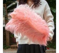 Lot de 10 plumes d'autruche colorées pour bijoux, bricolage, fête de mariage, centres de table créatifs, artisanat - Rose crevette - 25-30 cm