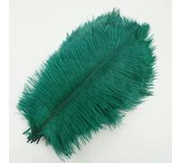 Lot de 10 plumes d'autruche colorées pour décoration, 25-30 cm, 25-30 cm, plumes blanches, pour centres de table de mariage, accessoires artisanaux, vert foncé