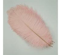 Lot de 10 plumes d'autruche colorées pour décoration de mariage, centres de table, accessoires artisanaux, plumes de carnaval, rose clair, 25-30 cm