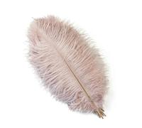 Lot de 10 plumes d'autruche colorées pour loisirs créatifs, décoration de mariage, bricolage, vacances, carnaval, accessoires en vrac, 15-40 cm, cuir rose, 35-40 cm