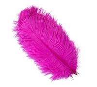 Lot de 10 plumes d'autruche colorées pour loisirs créatifs, décoration de mariage, bricolage, vacances, carnaval, accessoires en vrac, 15-40 cm, rose rouge, 25-30 cm