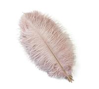 Lot de 10 plumes d'autruche colorées pour loisirs créatifs, décoration de mariage, bricolage, vacances, carnaval, mariage, accessoires en vrac, 15-40 cm, cuir rose, 15-20 cm
