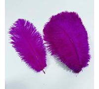 Lot de 10 plumes d'autruche colorées pour travaux manuels, centres de table, décoration de mariage, accessoires artisanaux, décoration de carnaval, Pluma-26 Rose-25-30 cm