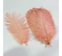 Lot de 10 plumes d'autruche colorées pour travaux manuels, centres de table, décoration de mariage, accessoires artisanaux, décoration de carnaval, Pluma-14, rose coquillage, 30-35 cm