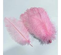 Lot de 10 plumes d'autruche colorées pour travaux manuels, centres de table, décoration de mariage, accessoires artisanaux, décoration de carnaval, Pluma-03, rose, 35-40 cm